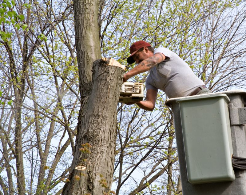 Beaver Activity Near Homes: Flooding Risks And Wildlife Control Options