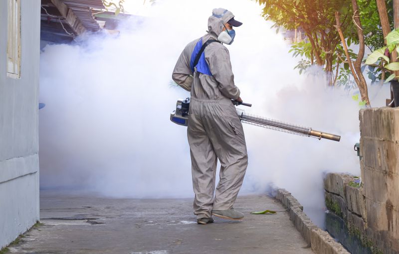 Fly Pest Control in Denton, TX